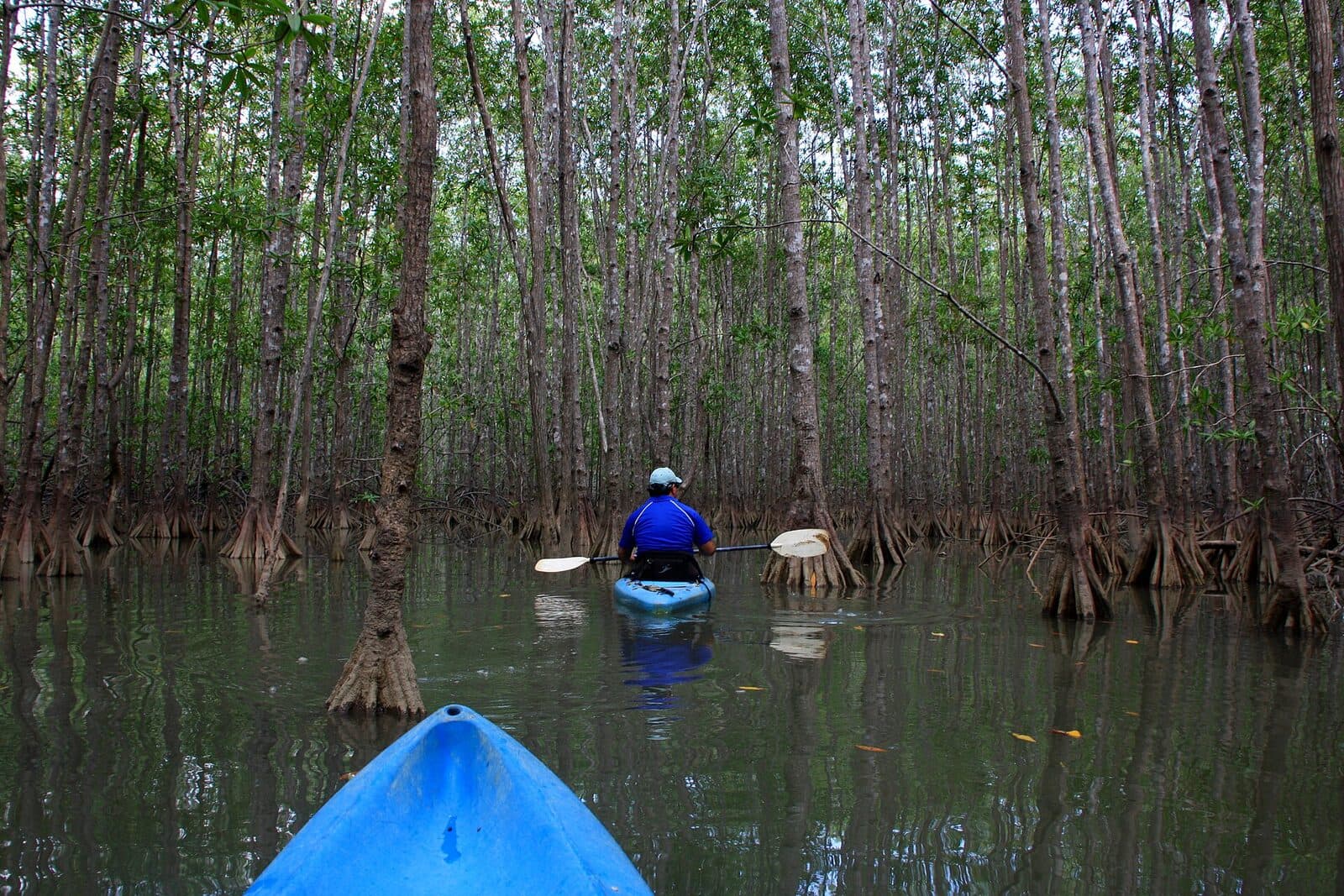 Sea kayak or paddleboard