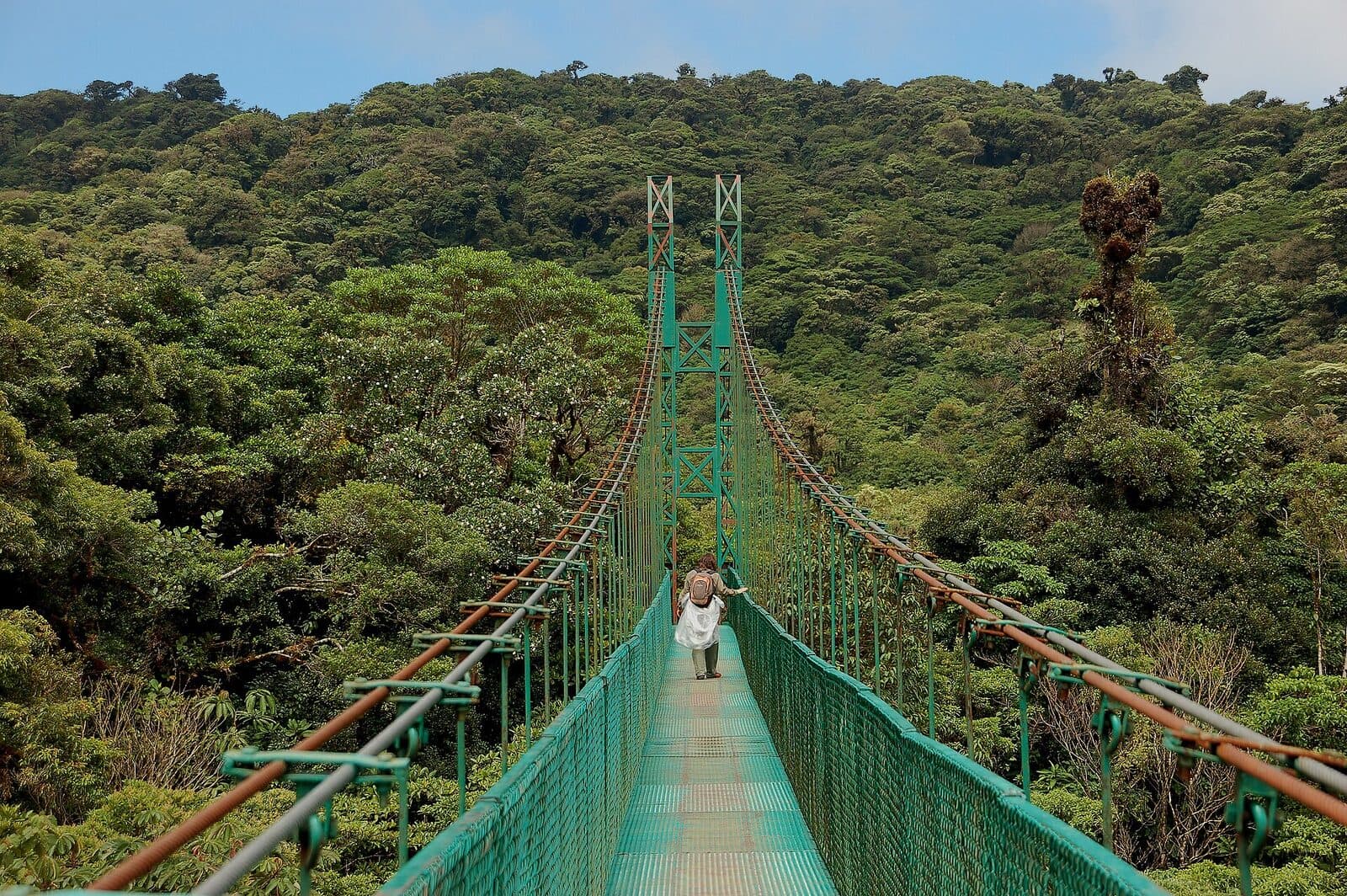 Cross the hanging bridges