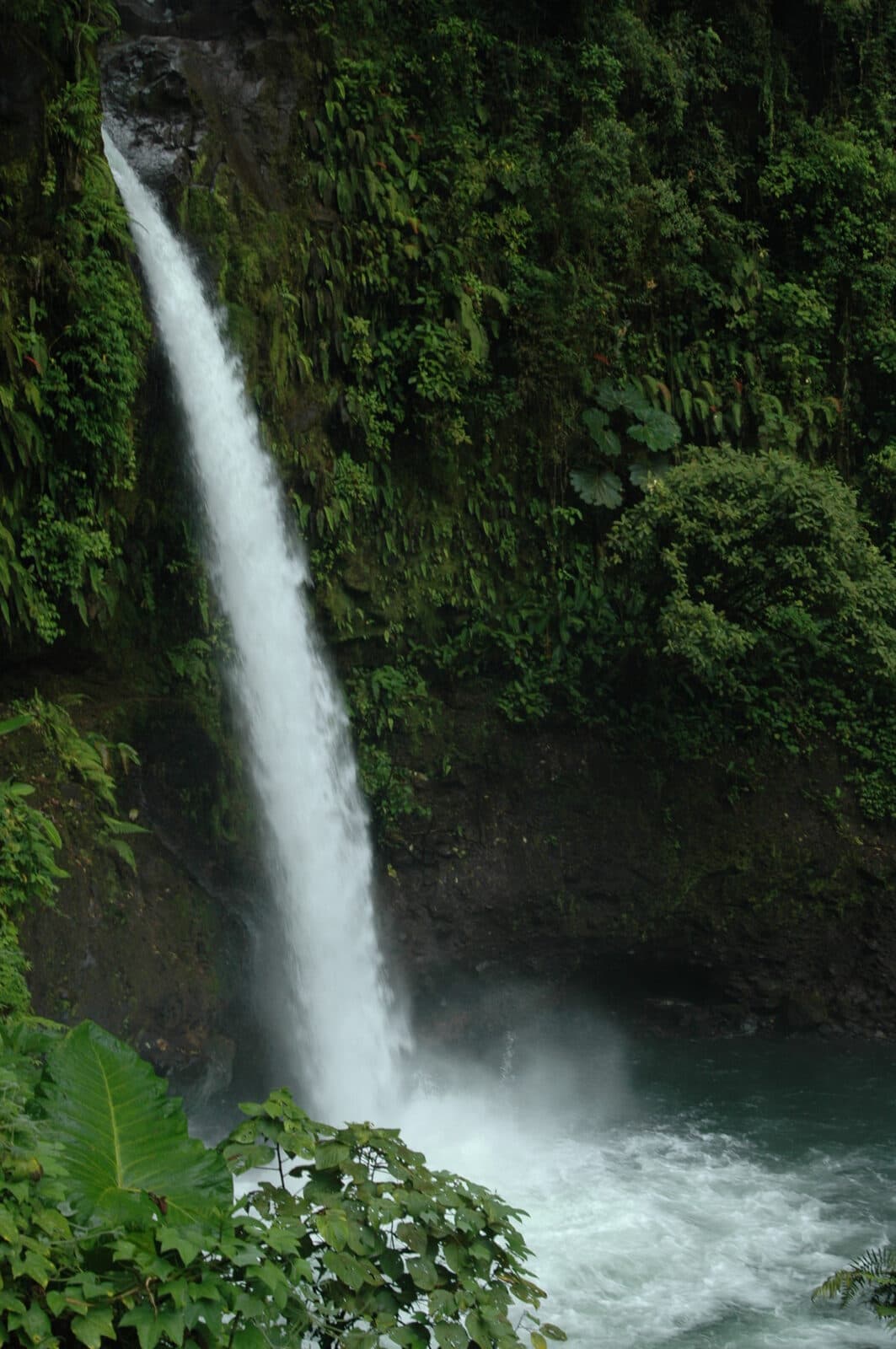 Visit La Paz Waterfall Gardens