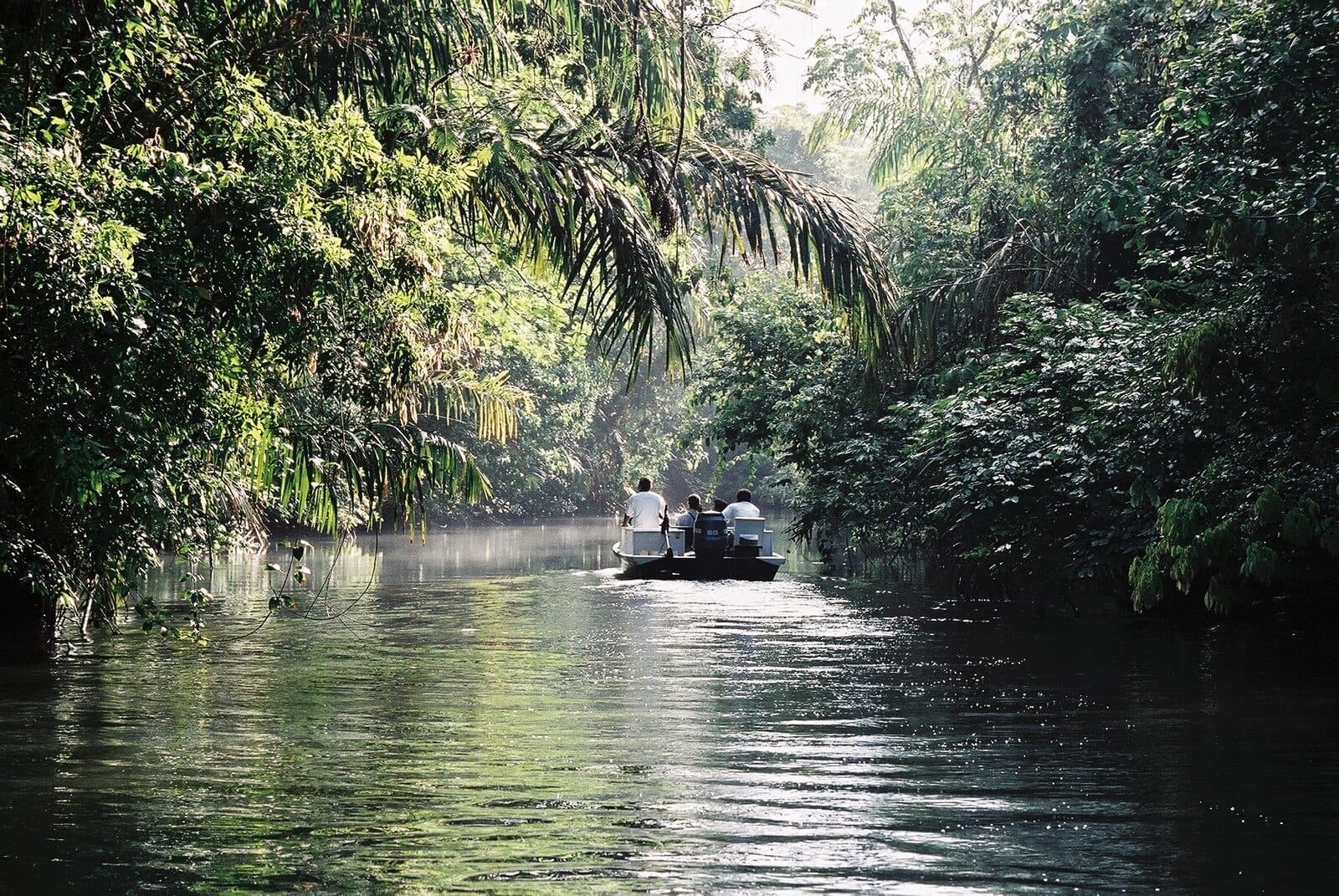 Cruise the jungle canals