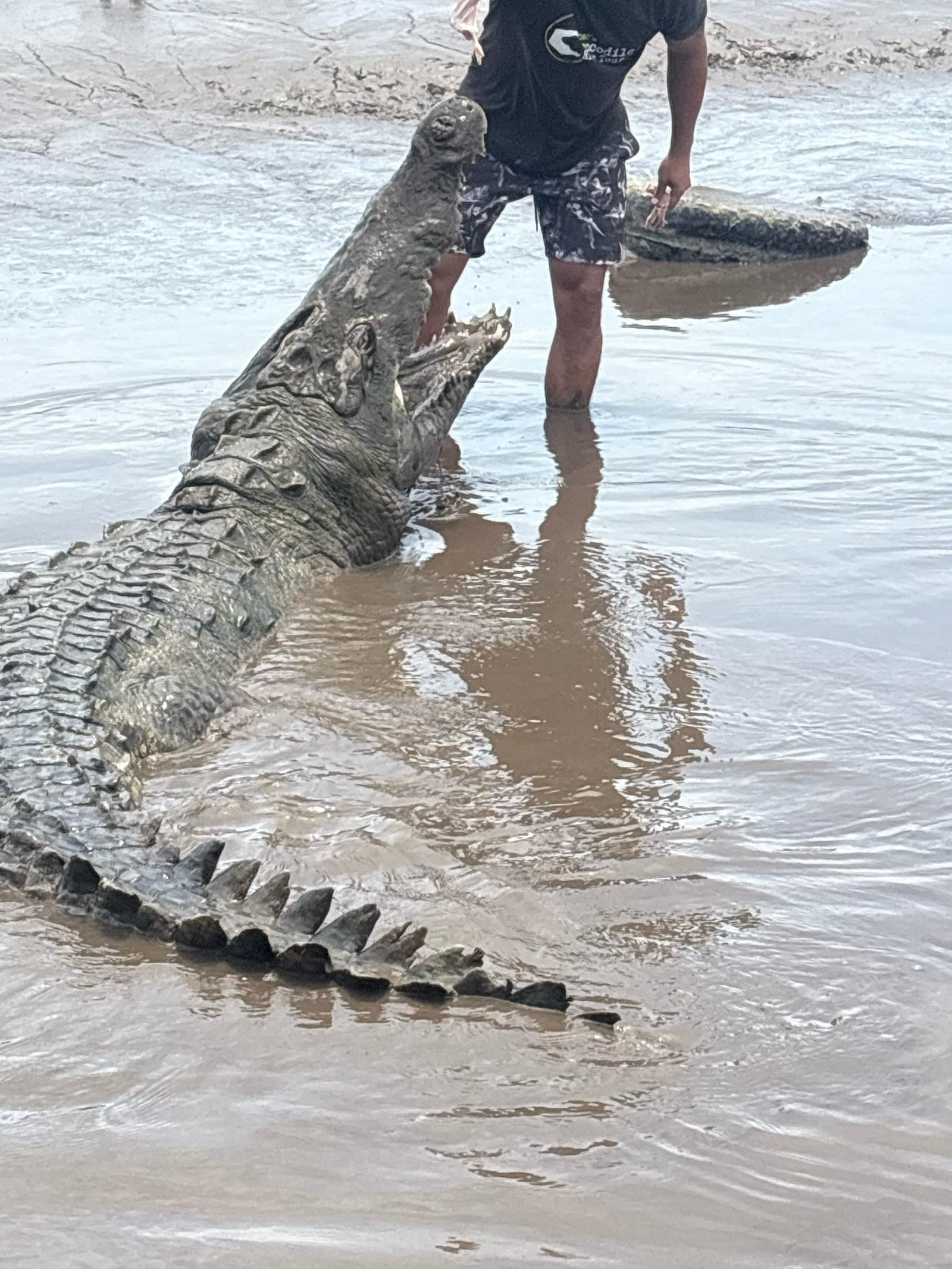 Tortuguero