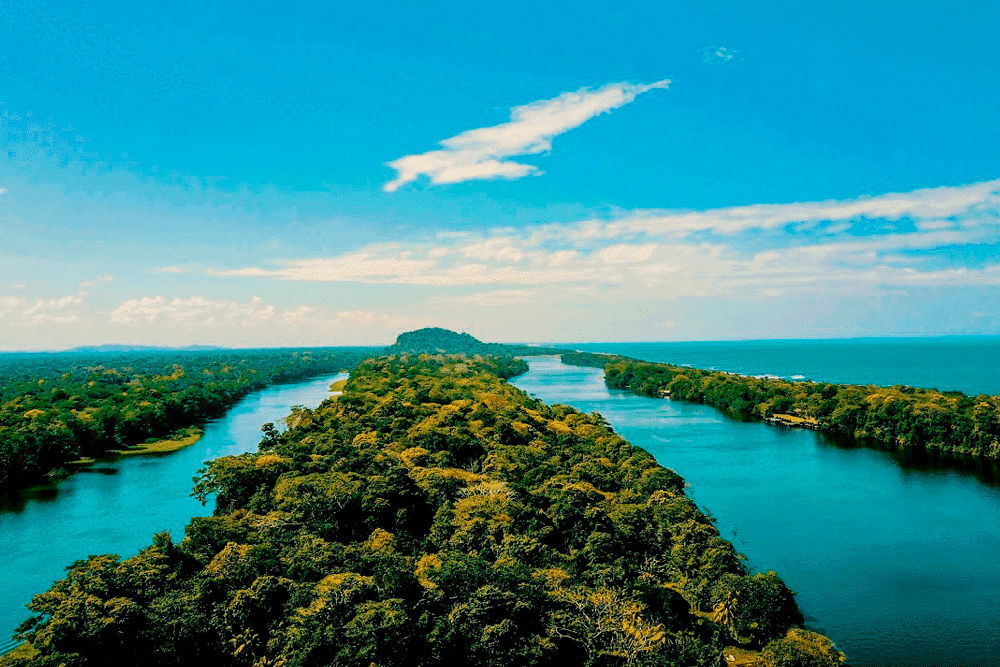 Tortuguero