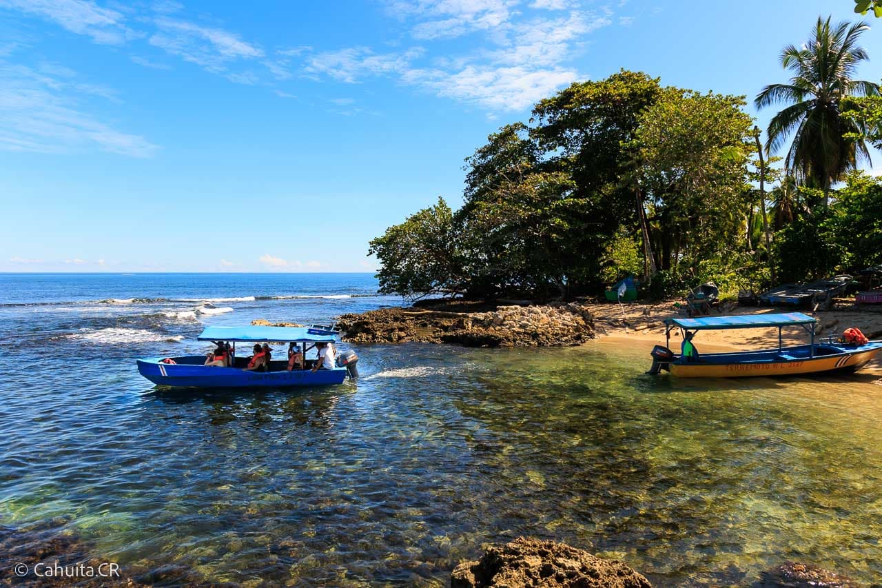Uvita