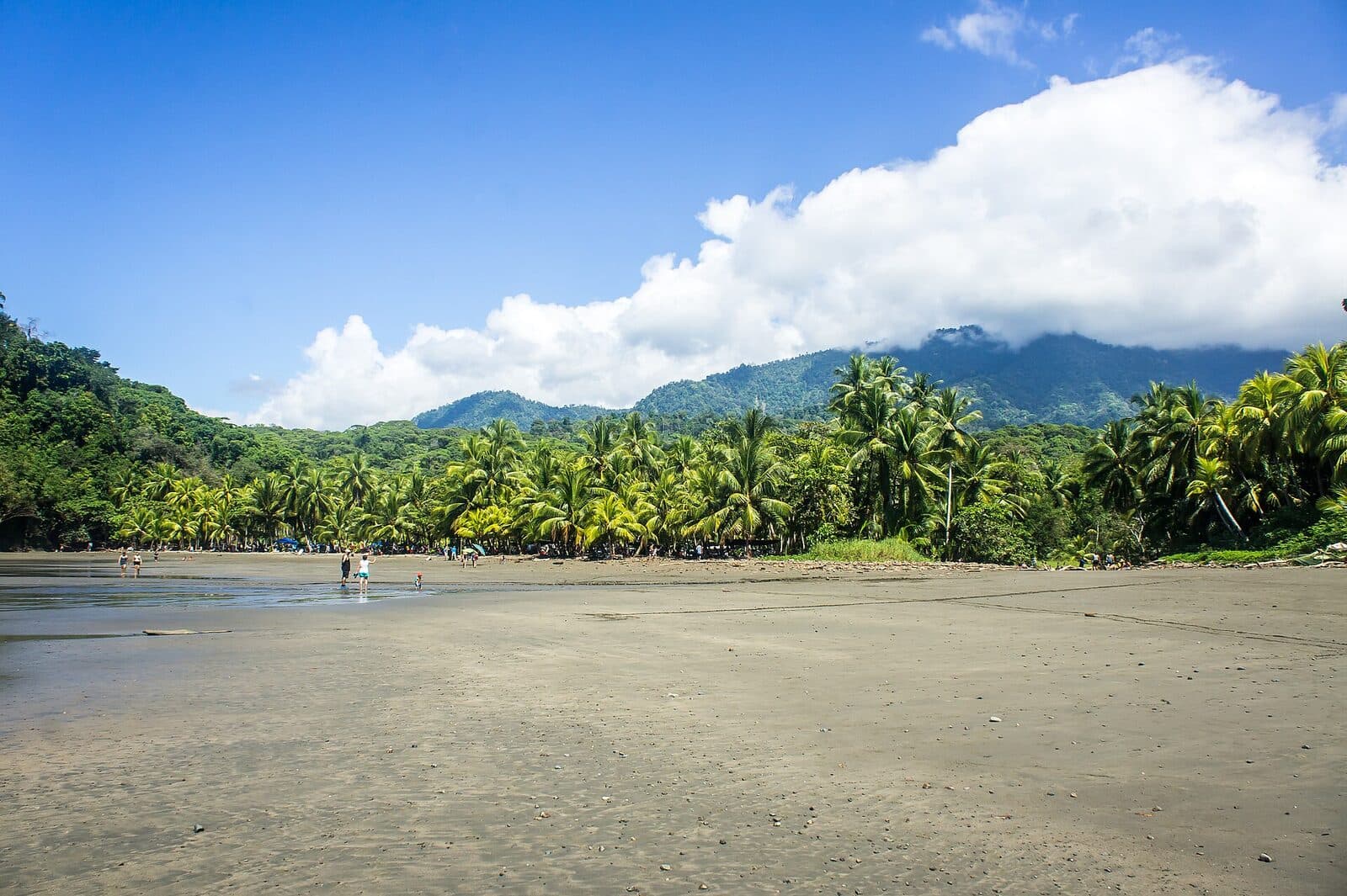 Relax on wild beaches