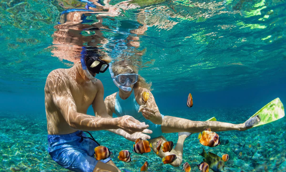 Snorkel the reefs